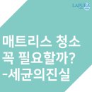 라퓨라홈케어고양파주점매트리스소파침대에어컨청소