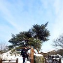 상촌새말길 | 안성 서운산(547m) [나혼산]