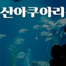 주식회사 부산여행특공대