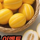 다온팜
