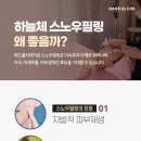 질경이수원 이미지