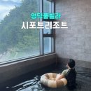 시포트리조트 | 영덕풀빌라 시포트리조트 가족여행 오션뷰 숙소 후기