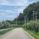 무궁화100리길 이미지