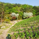 억대농장 이미지