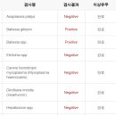 마인동물의료센터 이미지