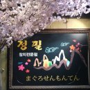정필참치 이미지