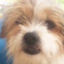 용원해수탕 이미지