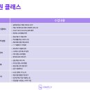 온플라이