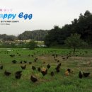 풍경농장 이미지