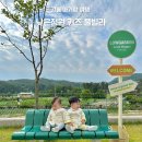 낮은정원 | 아이랑 강릉 여행 숙소 고민 끝! 낮은정원 키즈 풀빌라