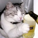 충정로역9번출구 이미지