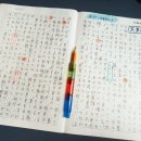 붉은수염 | [61]천성인어 필사 赤ひげと売春防止法 (붉은 수염과 매춘방지법)