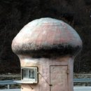 송이매점