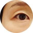 양주 옥정 속눈썹 블랙틴팅 뽀아이 재방문 후기