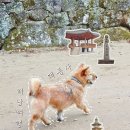 대흥사 | 해남 여행 가볼만한 곳 두륜산 대흥사 주차장 입장료 산책 후기