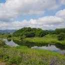 경북 경산(자인/압량) 개구리봉(와봉.영천475)-삼정지 일대 이미지