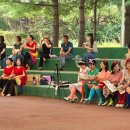 당진씨름장 이미지