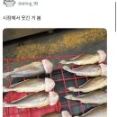 mask쓴 생선 이미지