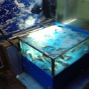 구만횟집 이미지