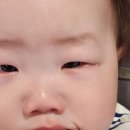 심청안과의원 이미지