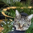 인제08 | 강원도 인제 용대리 폭포뷰 맛집 카페 추천 폴스커피 fallscoffee 내돈내산 후기