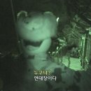 벋 이미지