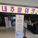 마곡 코엑스 네추럴위크 박람회 후기