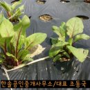 요한농원 이미지