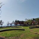 인천송도국제캠핑장 이미지