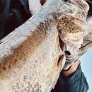 (주)찬스스타트 이미지