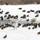 고니농장 이미지