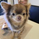 와와멍# 이미지