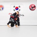 드림태권도전문도장 이미지