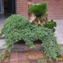 청운노인복지센터 이미지