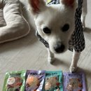 콩이네 방앗간 이미지