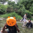 투어가자