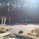 숲속의 정원 이미지