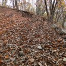 사오리농장 이미지