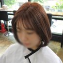 앙포레 아비떼 이미지