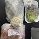 중화동족발배달 마왕족발 혼족