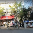 정관 코끼리약국 이미지