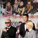 애니멀즈 이미지