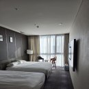 데이지호텔 | 서귀포 올레시장 도보 숙소 골든데이지 호텔 내돈내산 후기