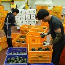 내촌농협 농산물산지유통센터 이미지