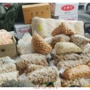 창원 가음정동 고분군 이미지