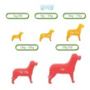 데일리독 이미지