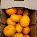 경희홀케어한의원 이미지