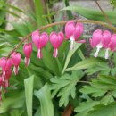 소풍펜션 이미지