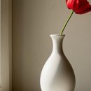 화서탑내과의원 이미지