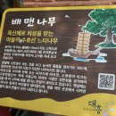 의좋은형제마을